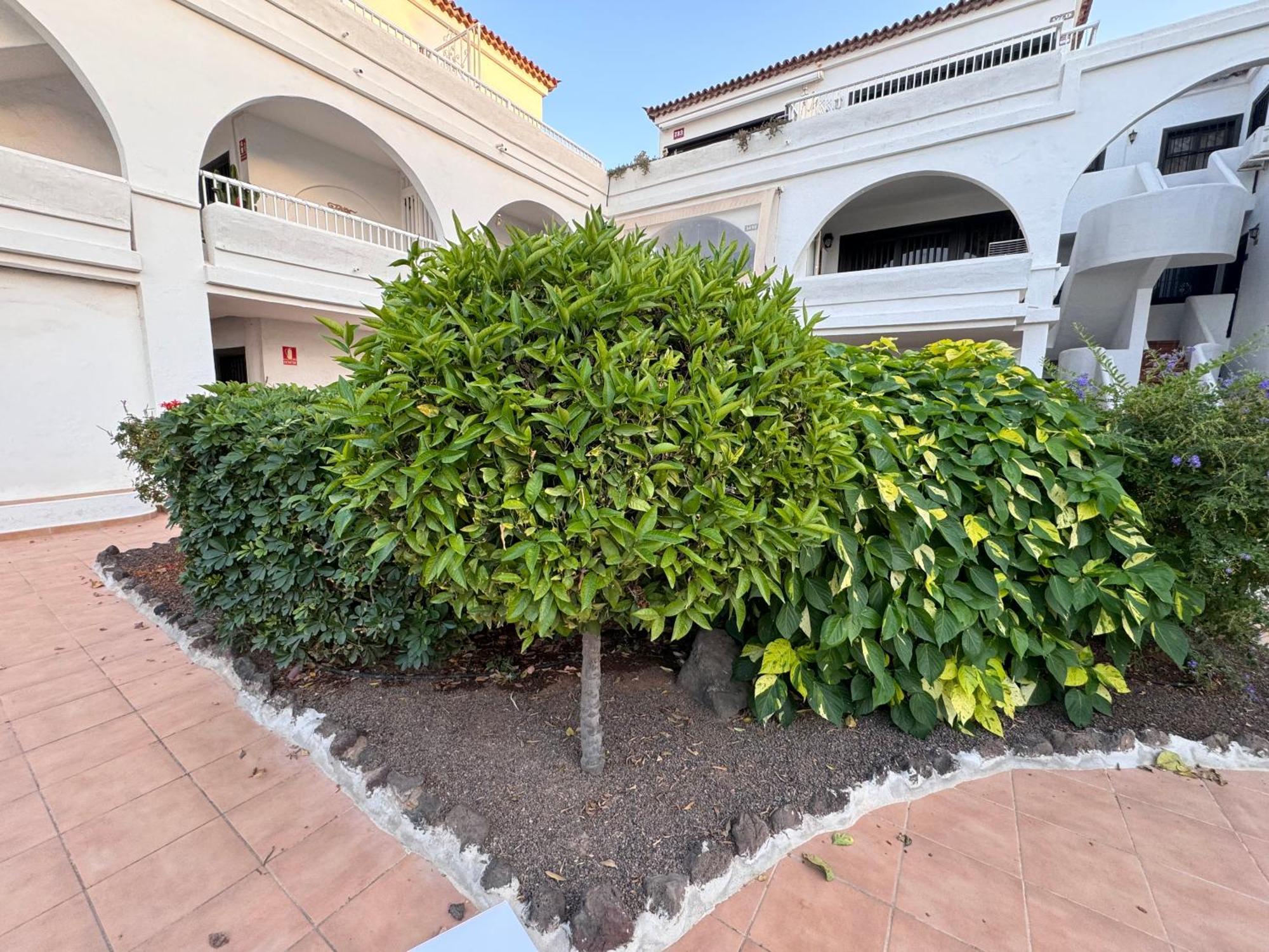 Apartamento Amarilla Golf Scorpio *